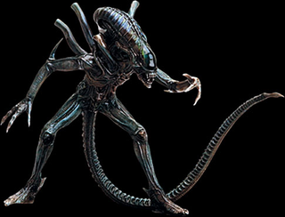 Illustration for article titled Favorite Scifi/Fantasy Race Designs?